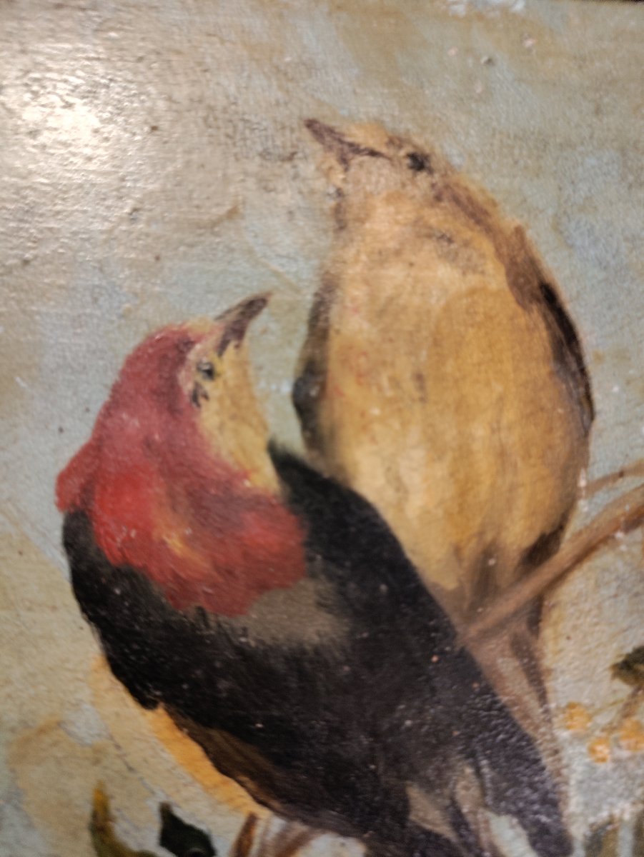Petite huile sur panneau couple d'oiseaux -photo-4