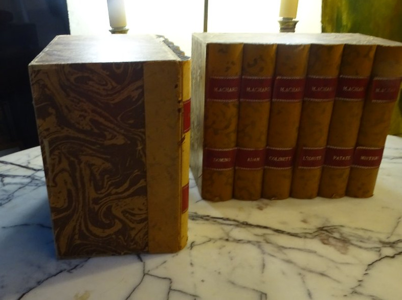 Bloc de 6 faux livres et un coffret en faux livres-photo-4