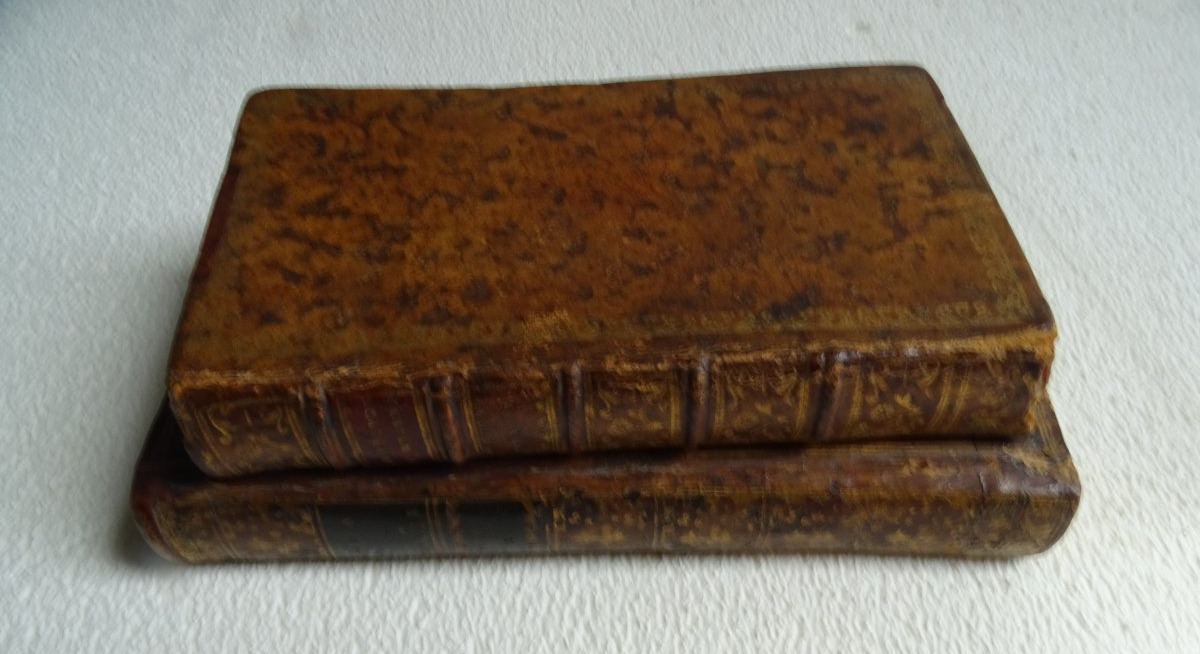Faux livres anciens en cuir 