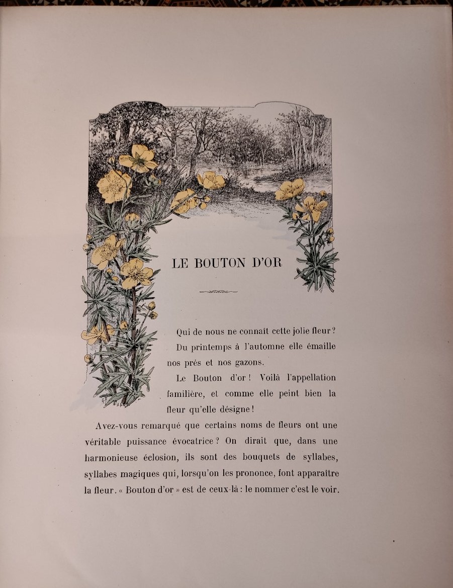 The Book Of Flowers By Fraipont-photo-7