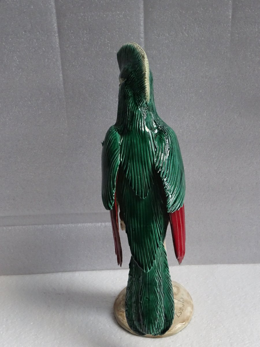 Large Resplendent Quetzal Bird, 1950s-photo-4