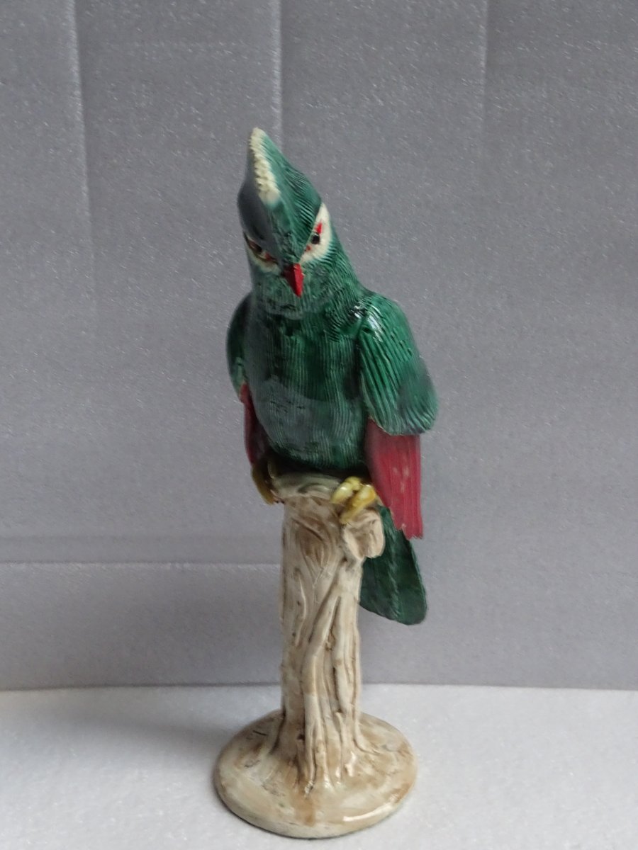 Large Resplendent Quetzal Bird, 1950s-photo-2