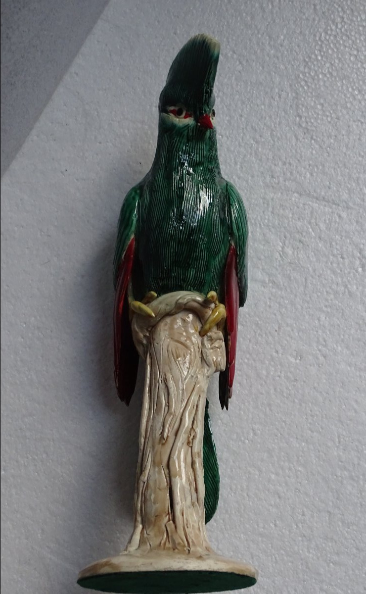 Large Resplendent Quetzal Bird, 1950s-photo-3
