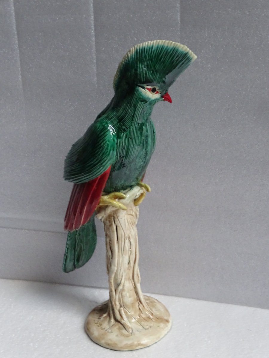 Large Resplendent Quetzal Bird, 1950s