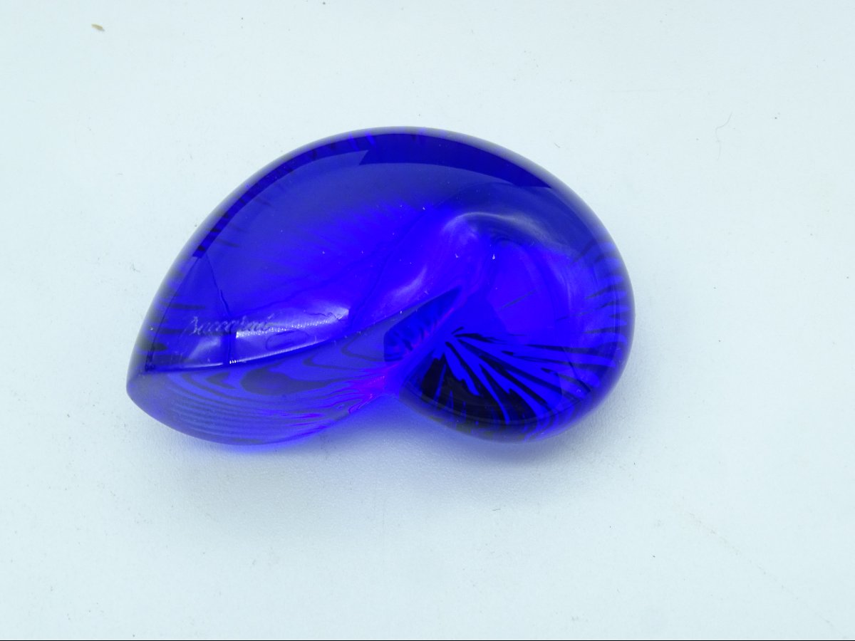 Nautilus Shell Baccarat-photo-2
