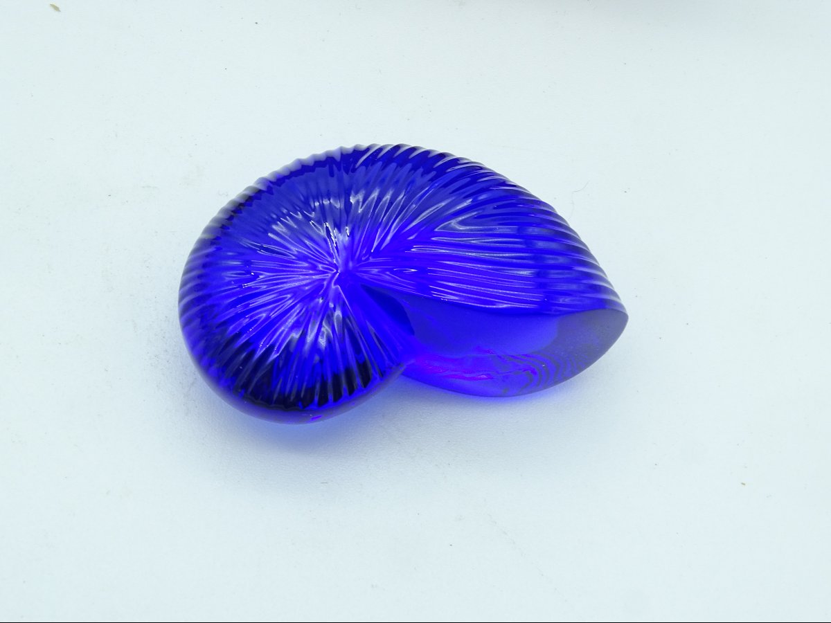 Nautilus Shell Baccarat