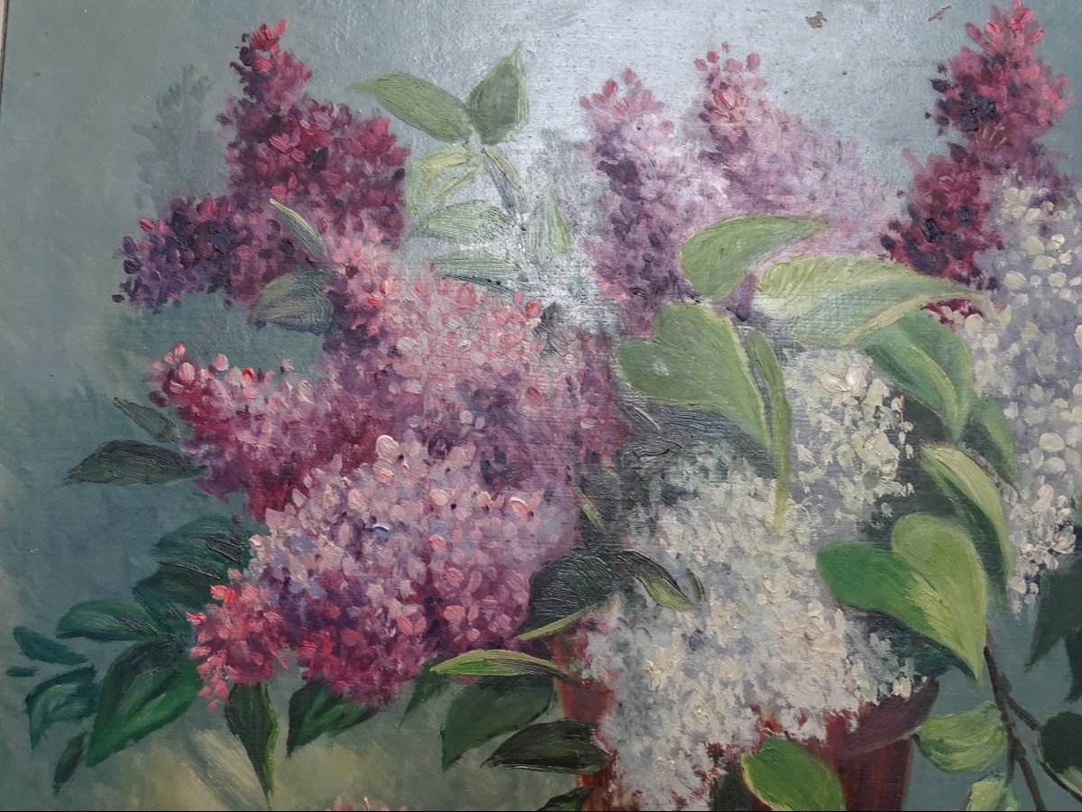 Lilac  Oil On Thick Cardboard-photo-3