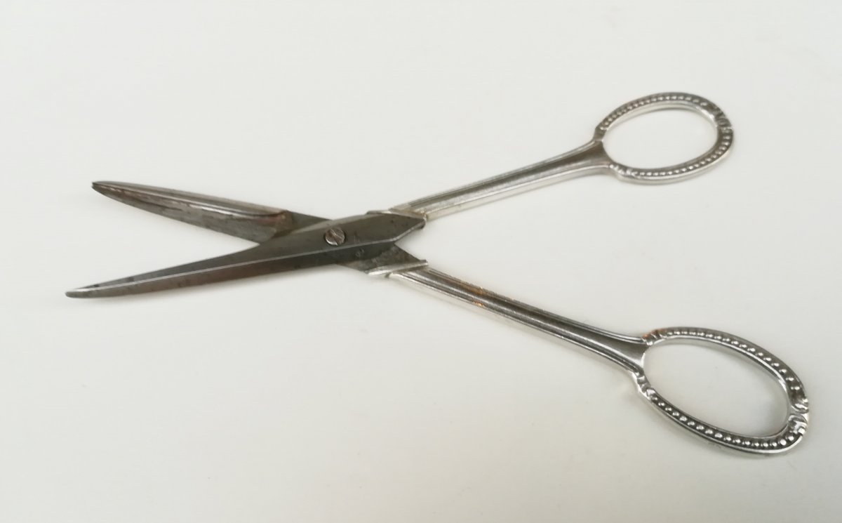 Pair Of Silver And Steel Scissors Early 20th-photo-2