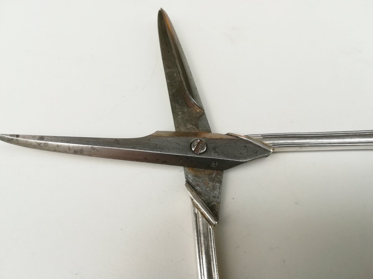 Pair Of Silver And Steel Scissors Early 20th-photo-3