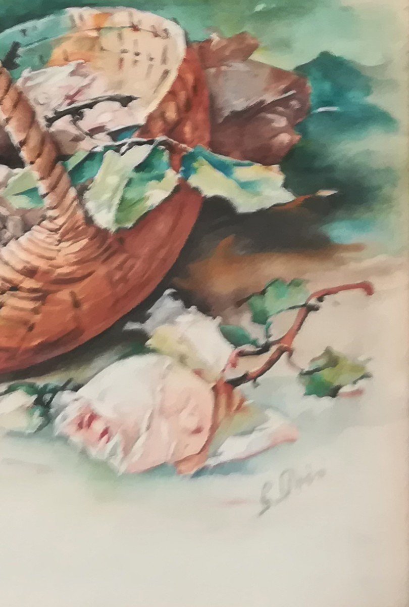 Pair Of Watercolors Of Roses 1920-photo-1