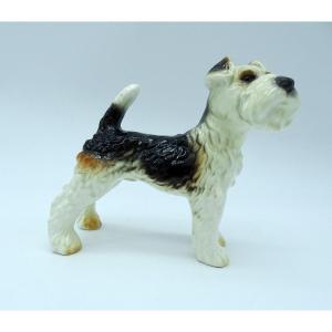 Fox-terrier Goebel Années 60/70