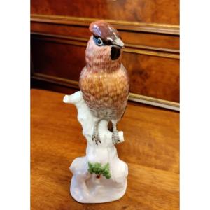 Cardinal Bird In German Porcelain Late 19th