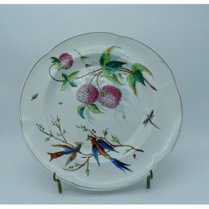 Creil-montereau Large Dish With Birds Of Paradise Late 19th