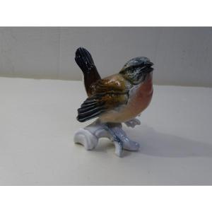 Karl Ens Robin