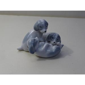 Group Of 3 Puppies Playing