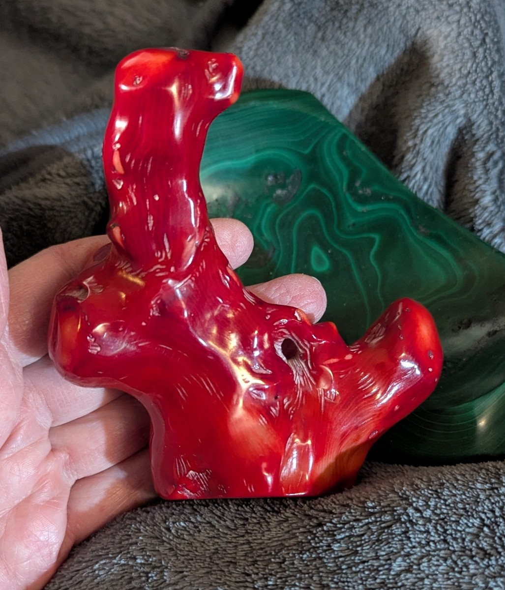 Bouddha sculpté dans une branche de corail bambou-photo-3