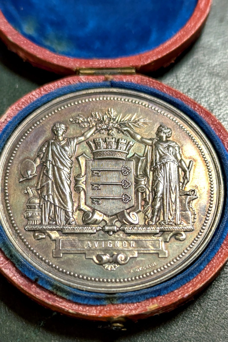 Médaille de table, en argent massif, 1882-Exposition Avignon-Monnaie de Paris-photo-2