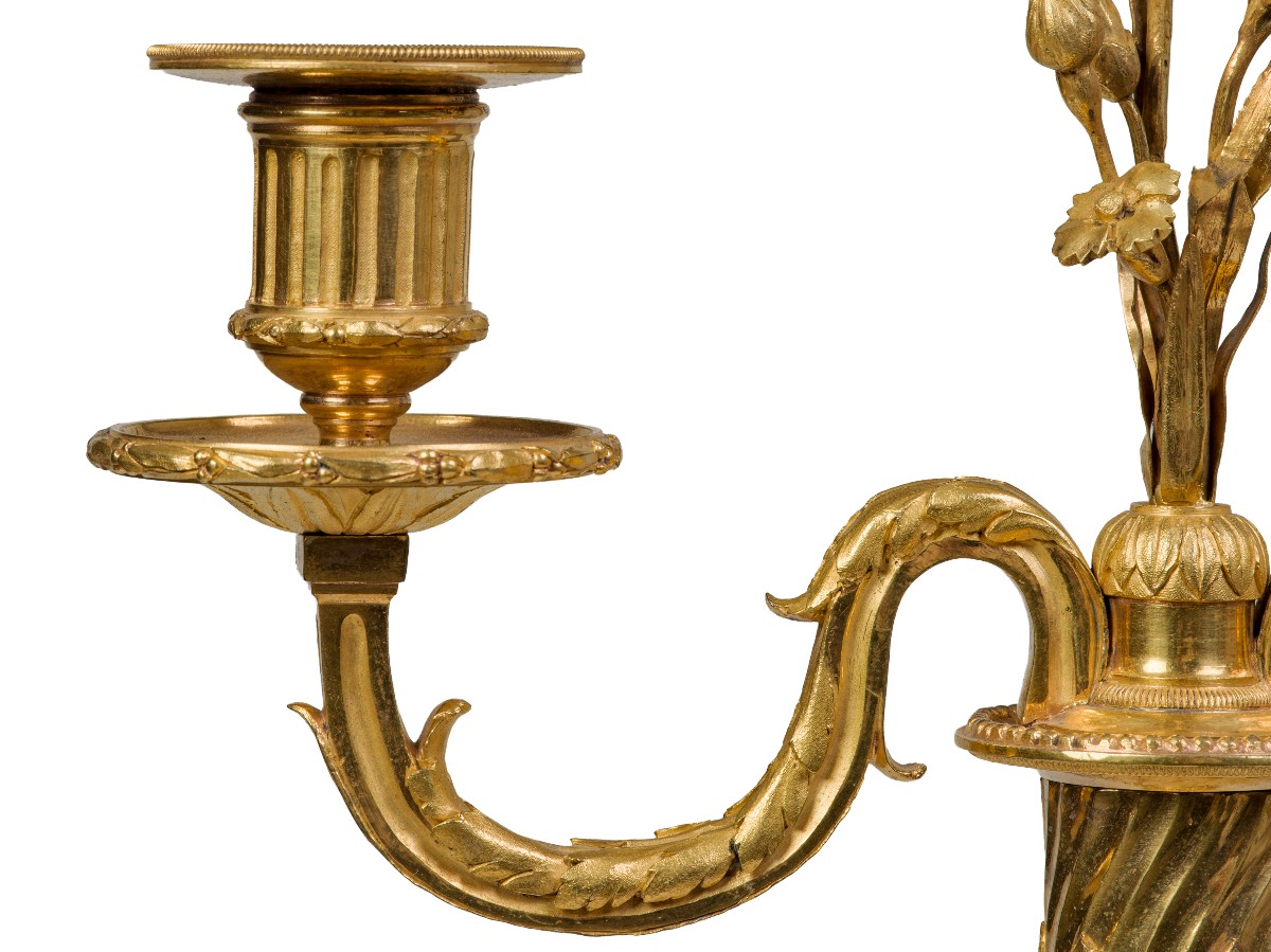 Pair Of Gilt Bronze Candelabras, Louis XVI Period-photo-4