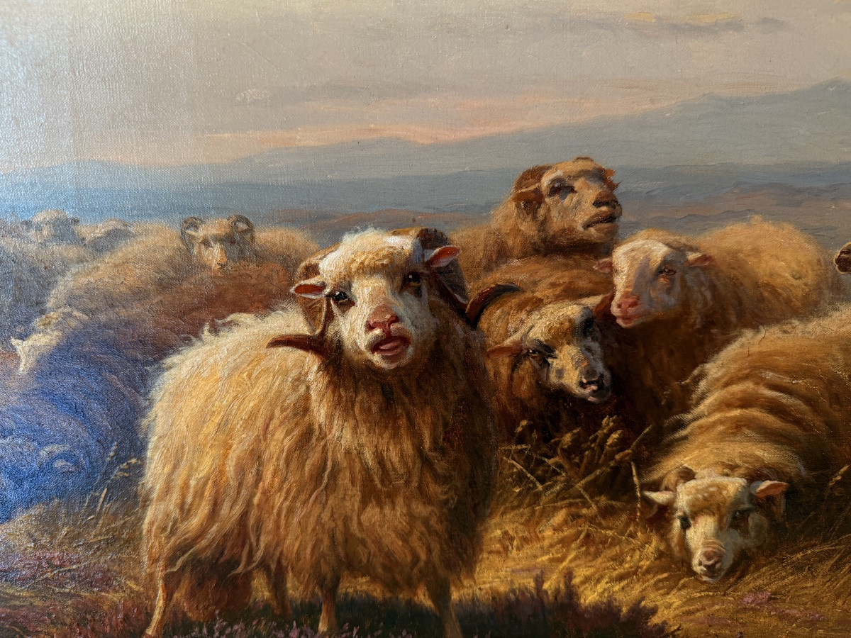 Schenck Oil Painting On Canvas Shepherdess And Sheep-photo-3