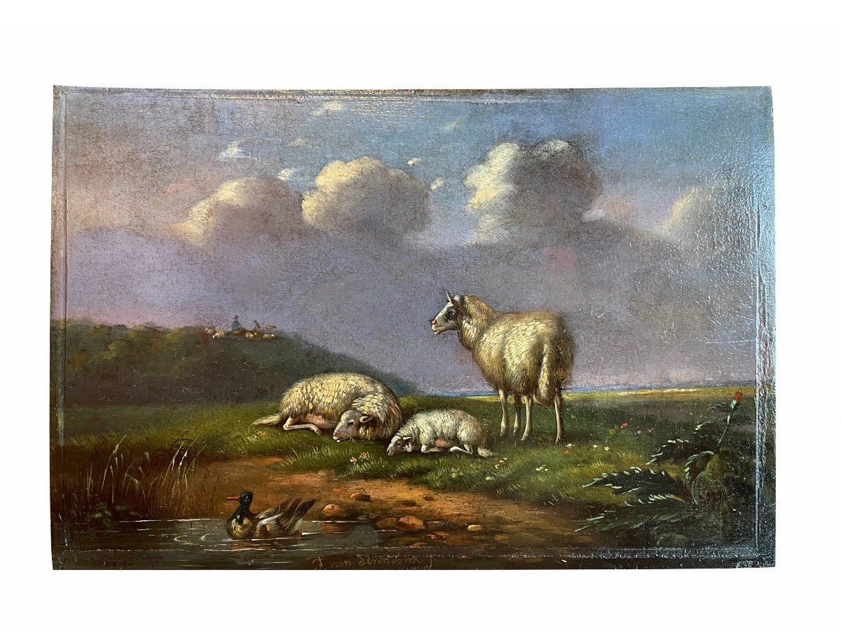 Tableau Les Moutons - F. Van Severdonck