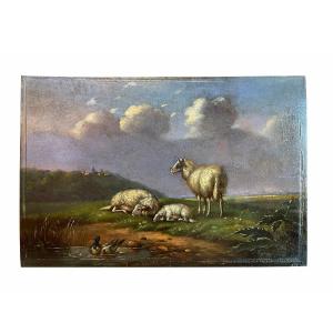 Tableau Les Moutons - F. Van Severdonck