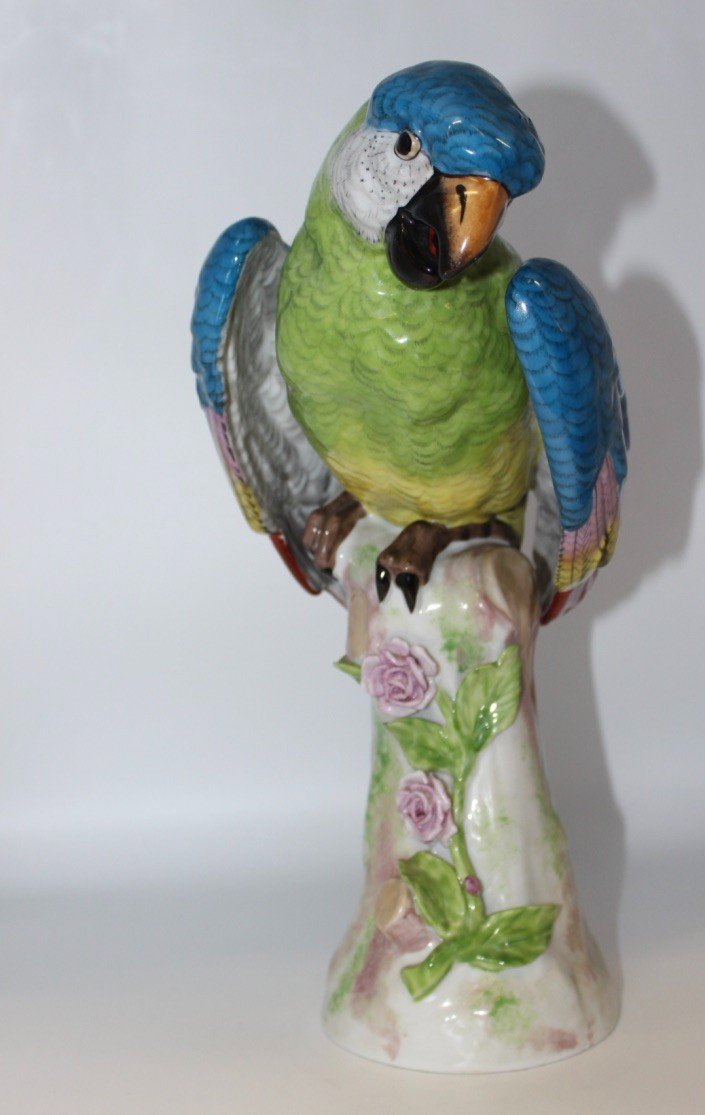 Porcelain Parrot In The Taste Of Meissen XX-photo-4