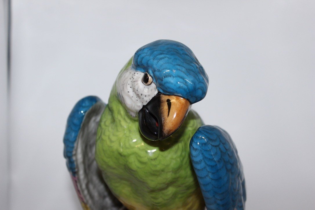 Porcelain Parrot In The Taste Of Meissen XX-photo-4