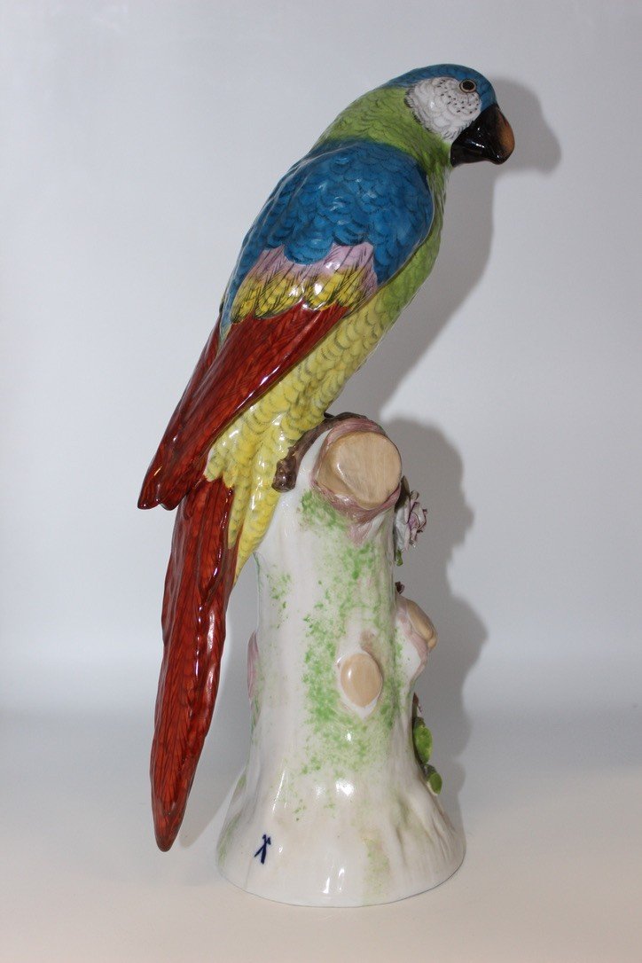 Porcelain Parrot In The Taste Of Meissen XX-photo-4