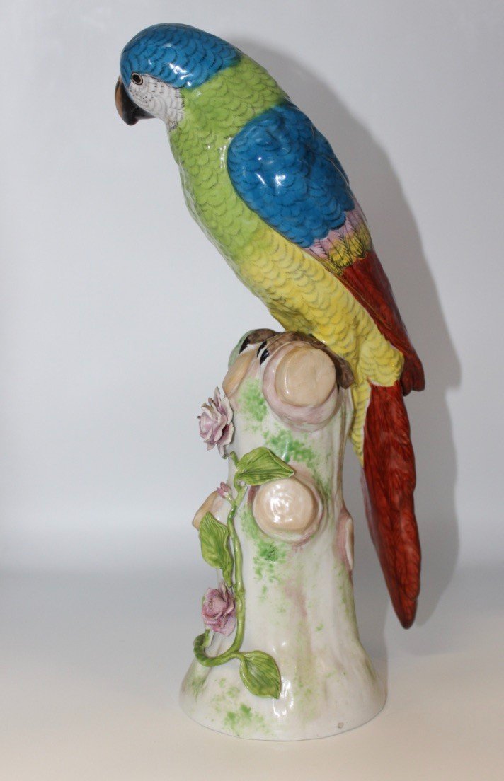 Porcelain Parrot In The Taste Of Meissen XX-photo-7