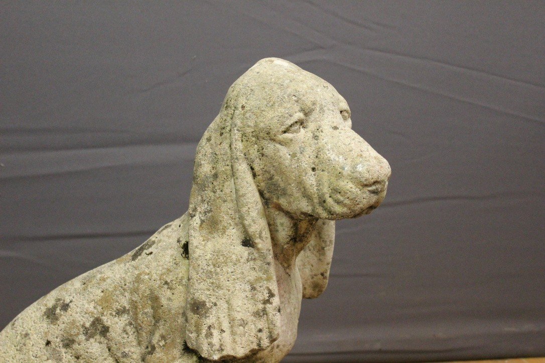 Cement Dog Representing A Basset Circa 1930-photo-3
