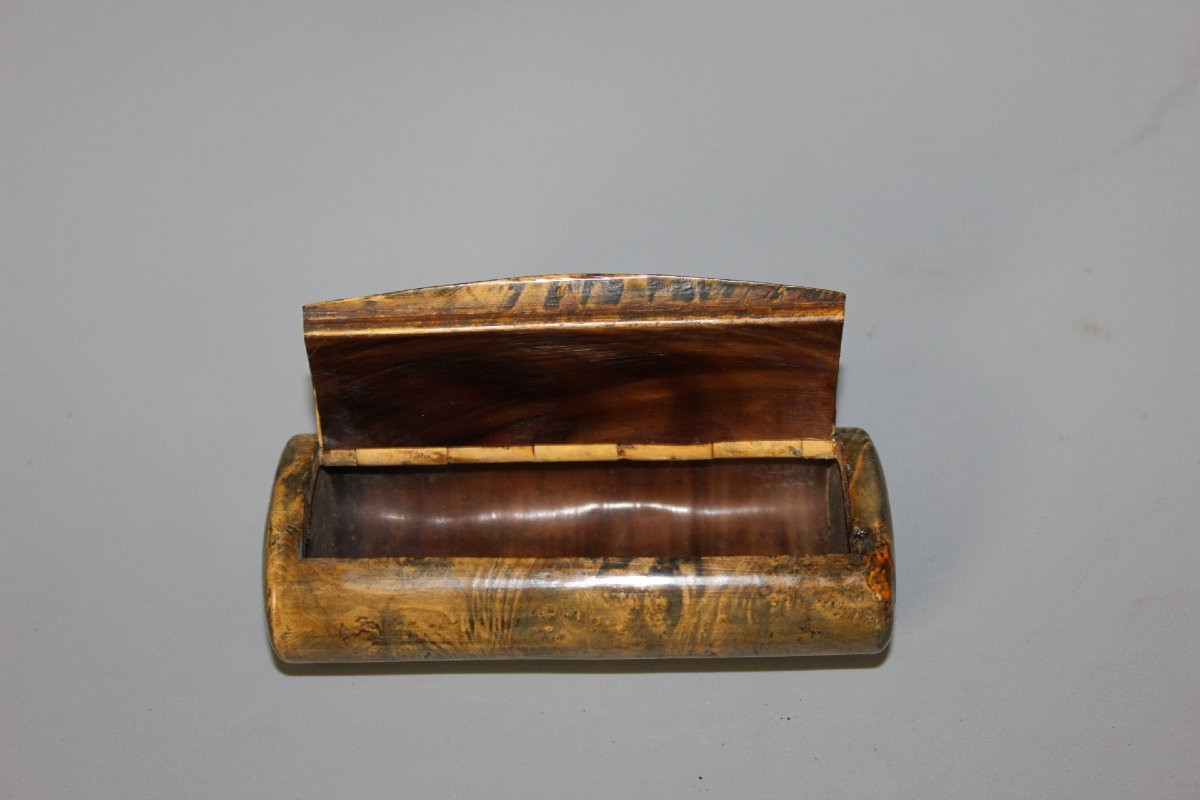 Burr Walnut And Horn Snuffbox Circa 1880-photo-2