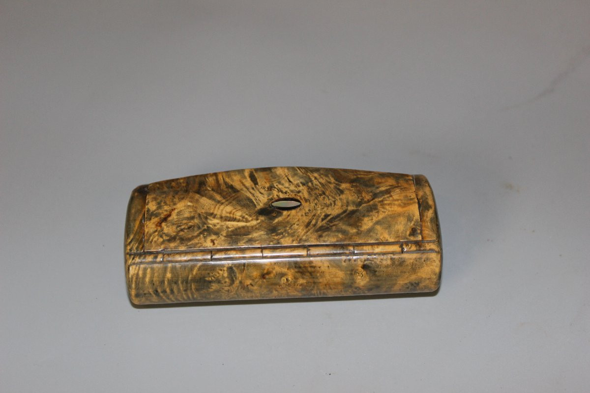 Burr Walnut And Horn Snuffbox Circa 1880-photo-4