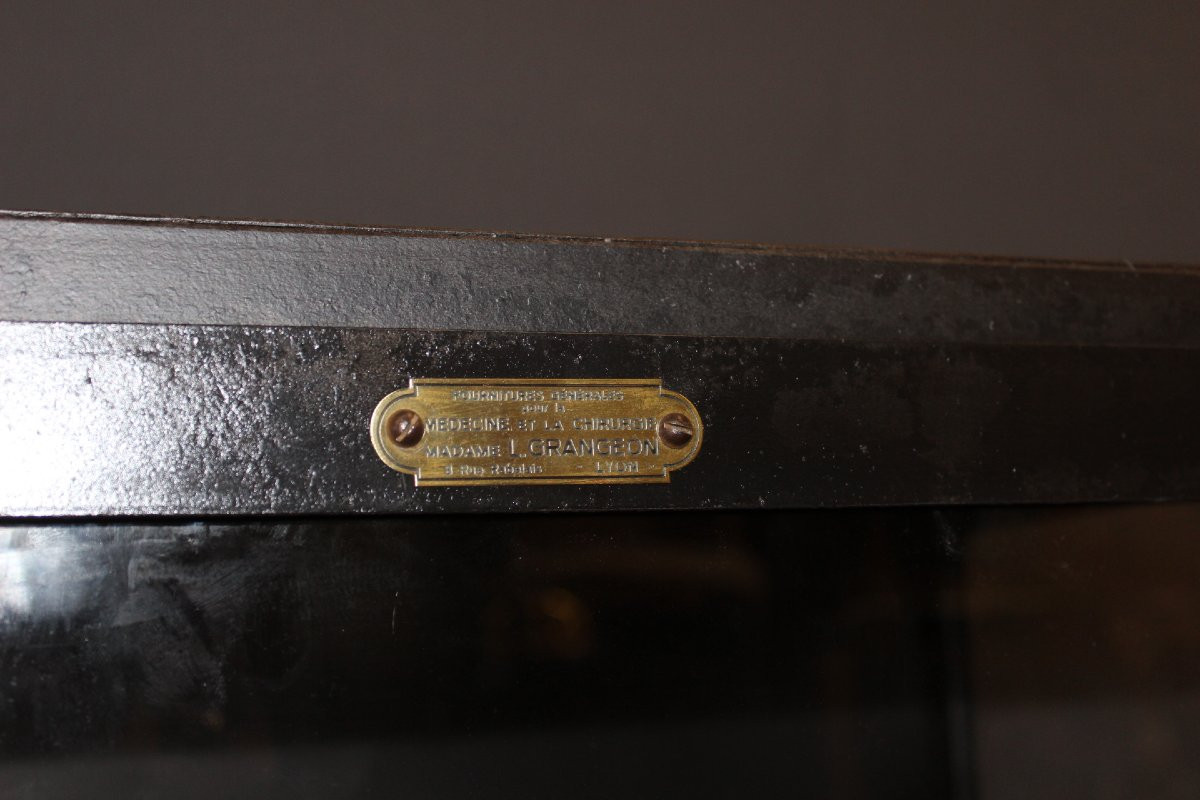 Metal Medical Display Case, Circa 1940 -photo-4