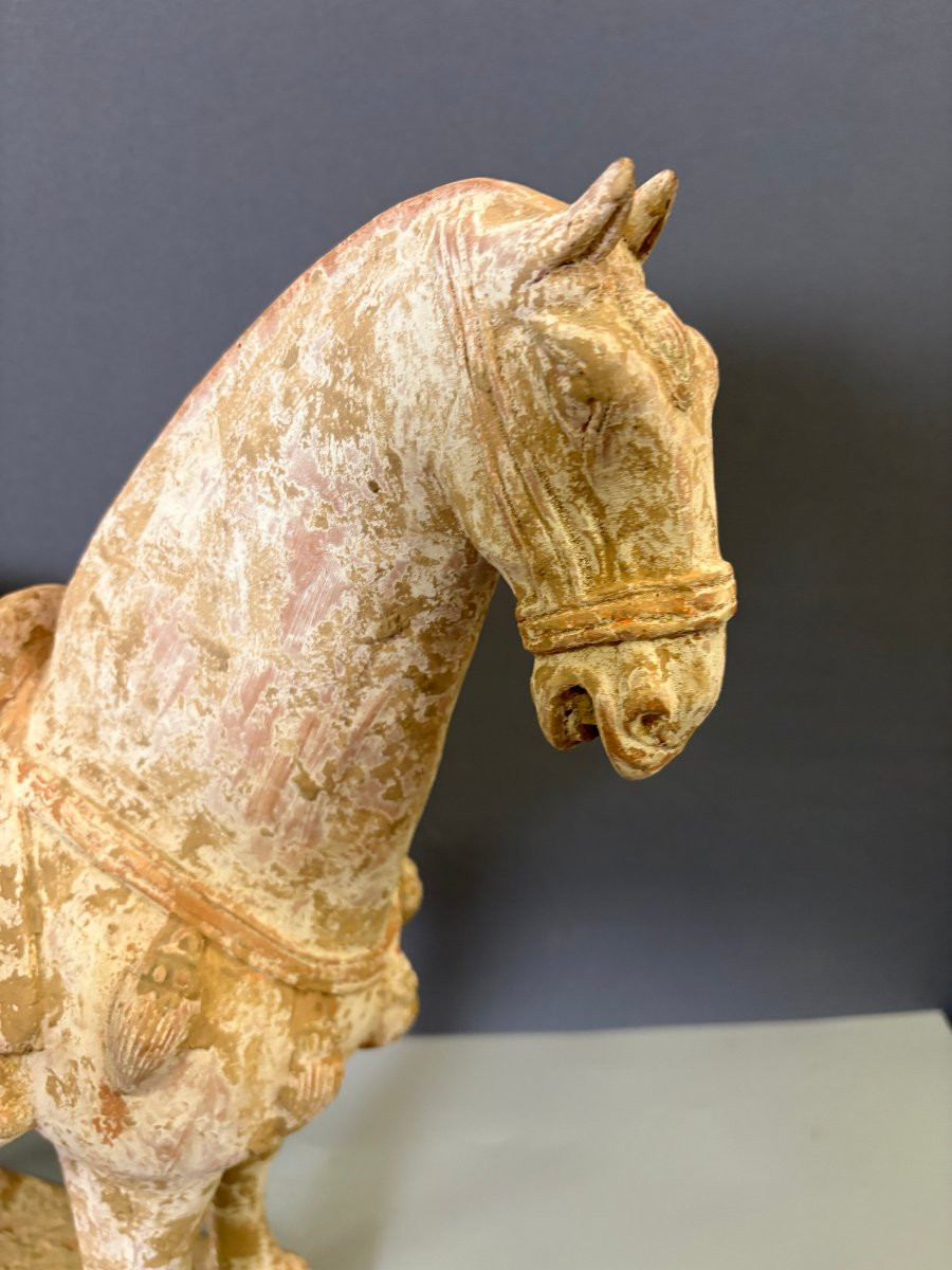 Important Cheval en Terre Cuite Style Tang , Chine -photo-2
