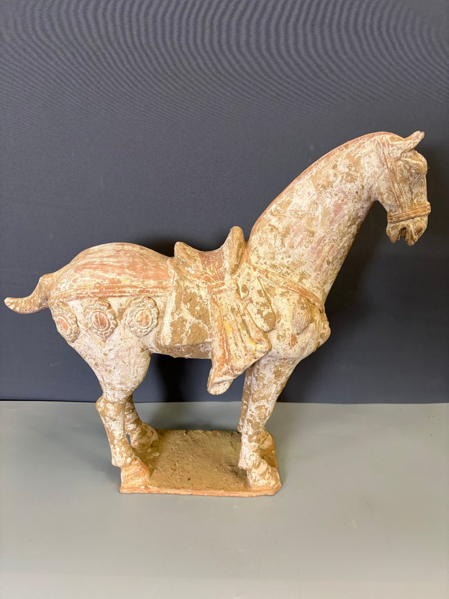 Important Cheval en Terre Cuite Style Tang , Chine -photo-3