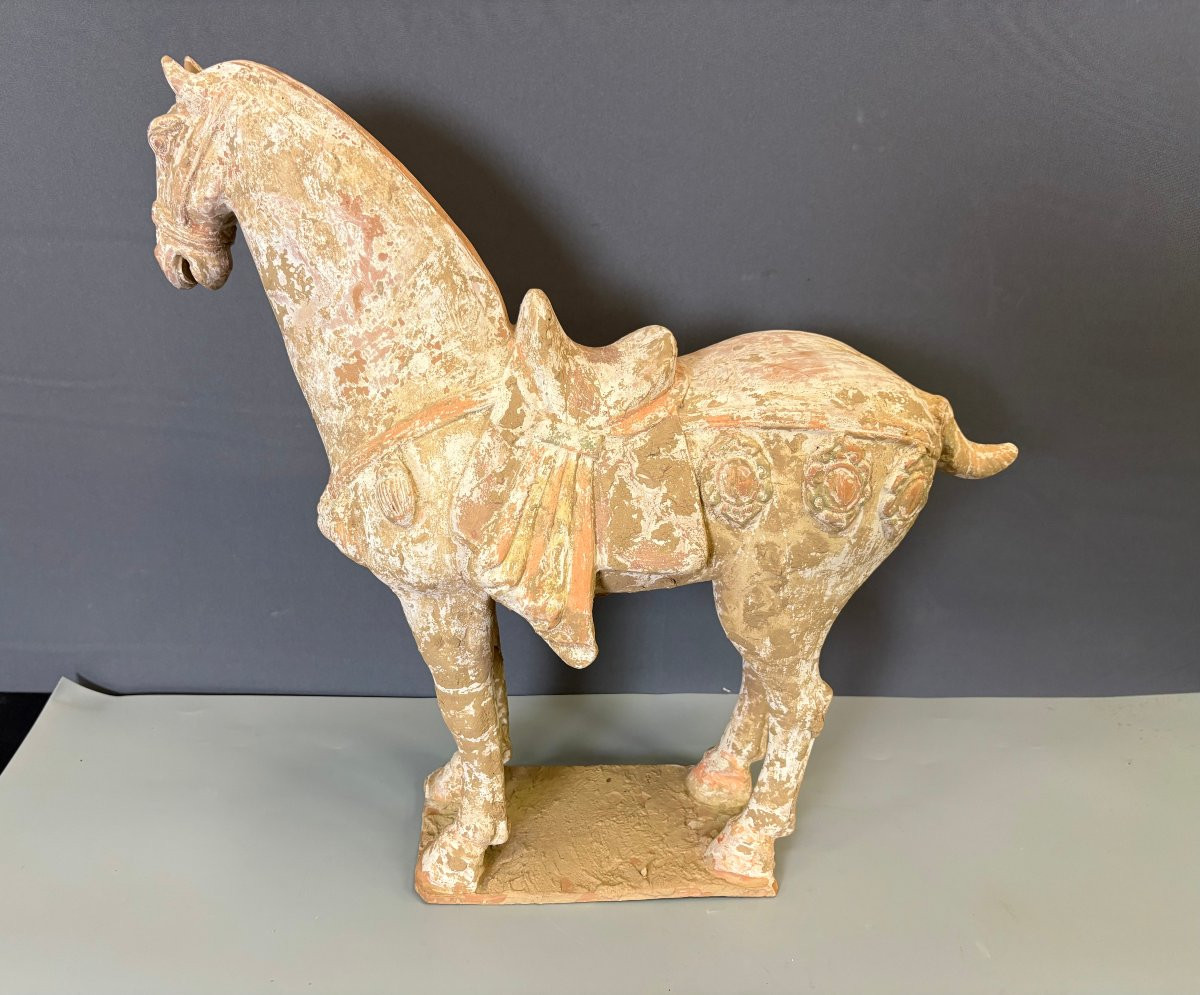 Important Cheval en Terre Cuite Style Tang , Chine -photo-4