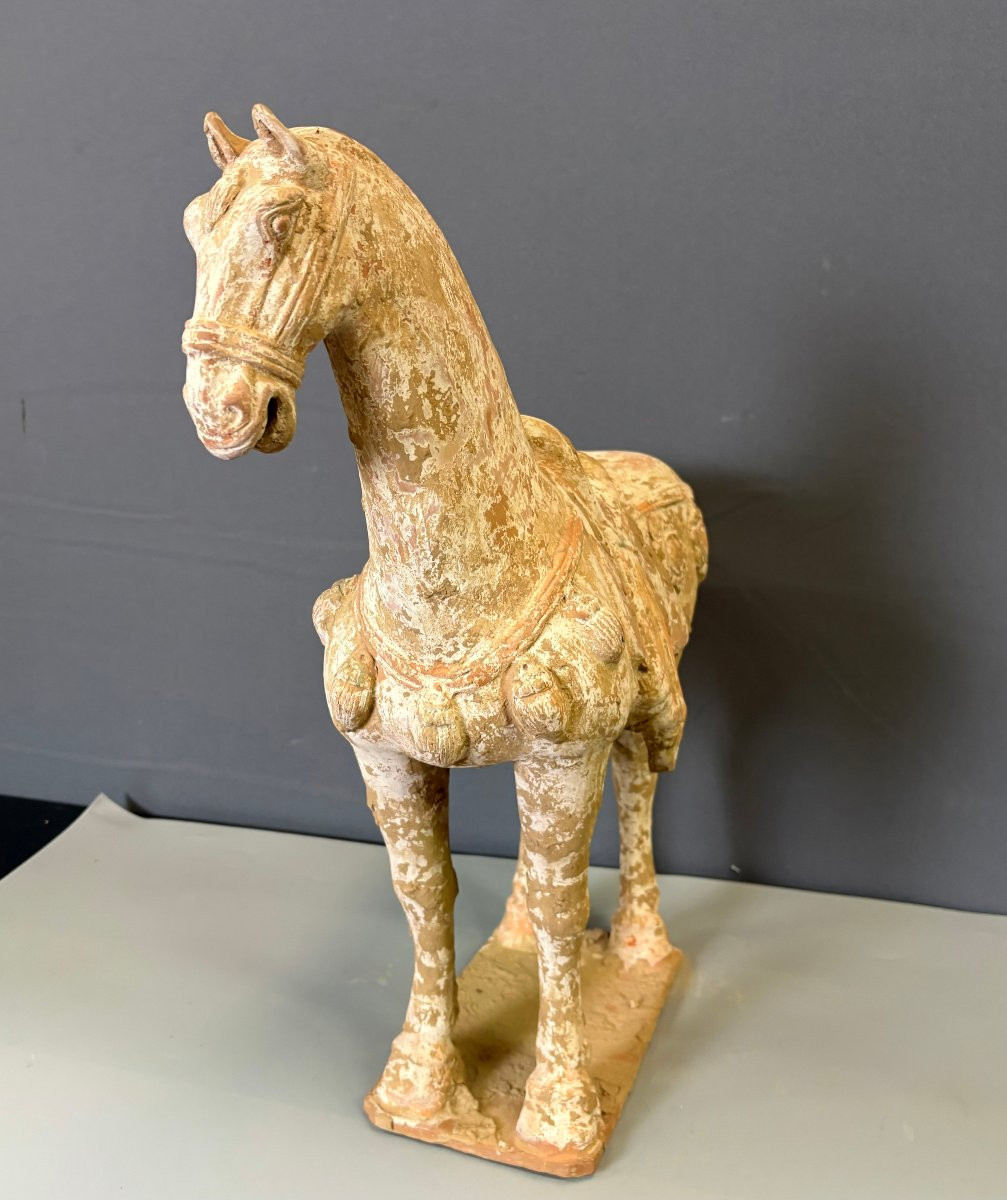 Important Cheval en Terre Cuite Style Tang , Chine -photo-7