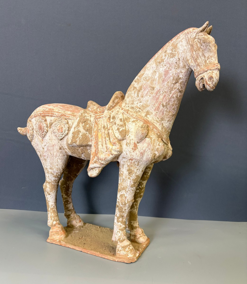 Important Cheval en Terre Cuite Style Tang , Chine 
