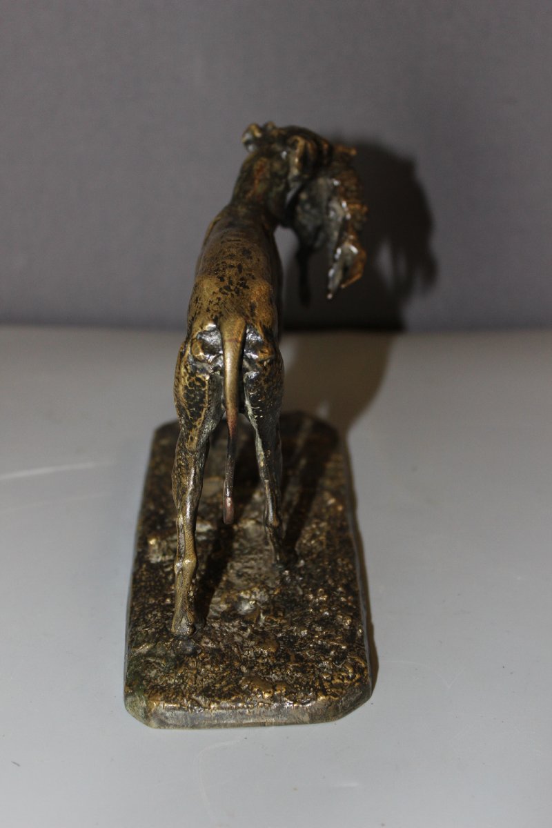 "greyhound And Hare" By Pierre Jules Mene, 19th Century-photo-1
