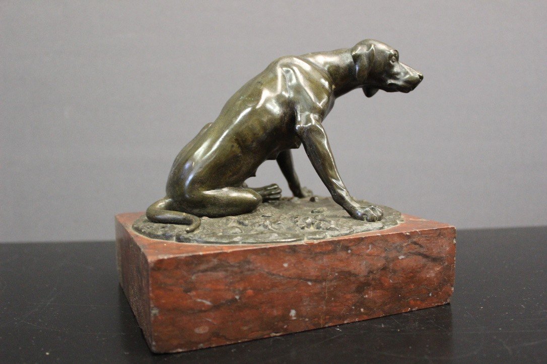 Chien De Chasse En Bronze XIX-photo-2