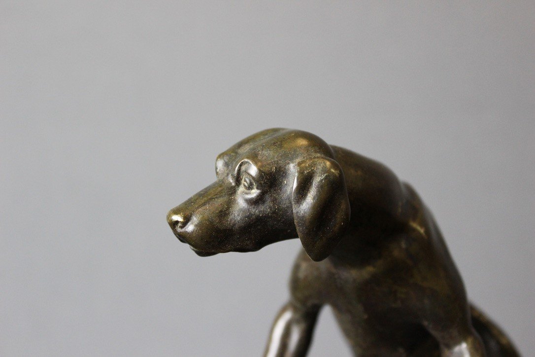 Chien De Chasse En Bronze XIX-photo-1