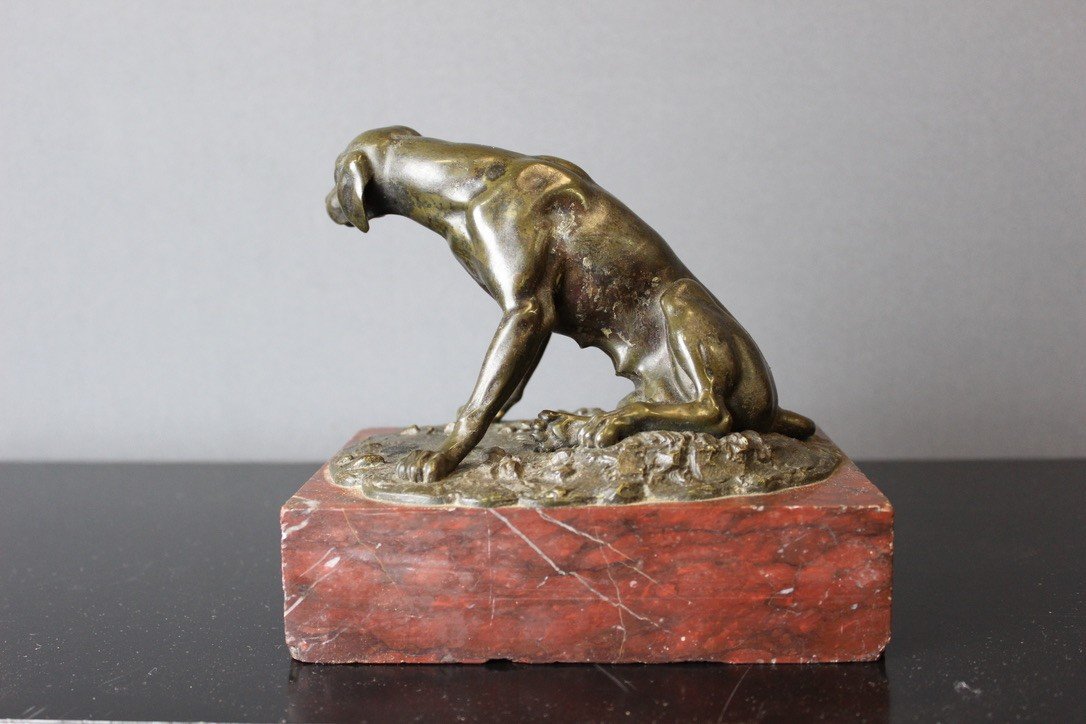 Chien De Chasse En Bronze XIX-photo-3