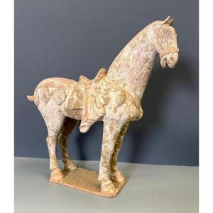 Cheval en Terre Cuite Style Tang , Chine Milieu XXe