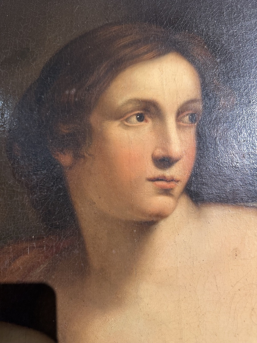 Giovanni Francesco Barbieri-photo-3