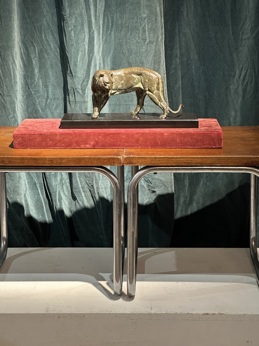 I ROCHARD PANTHÈRE -photo-2