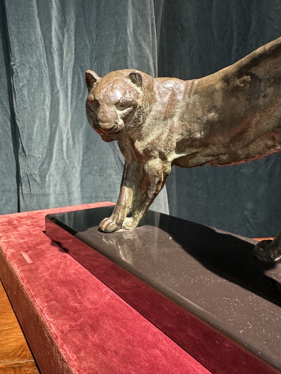 I ROCHARD PANTHÈRE -photo-3