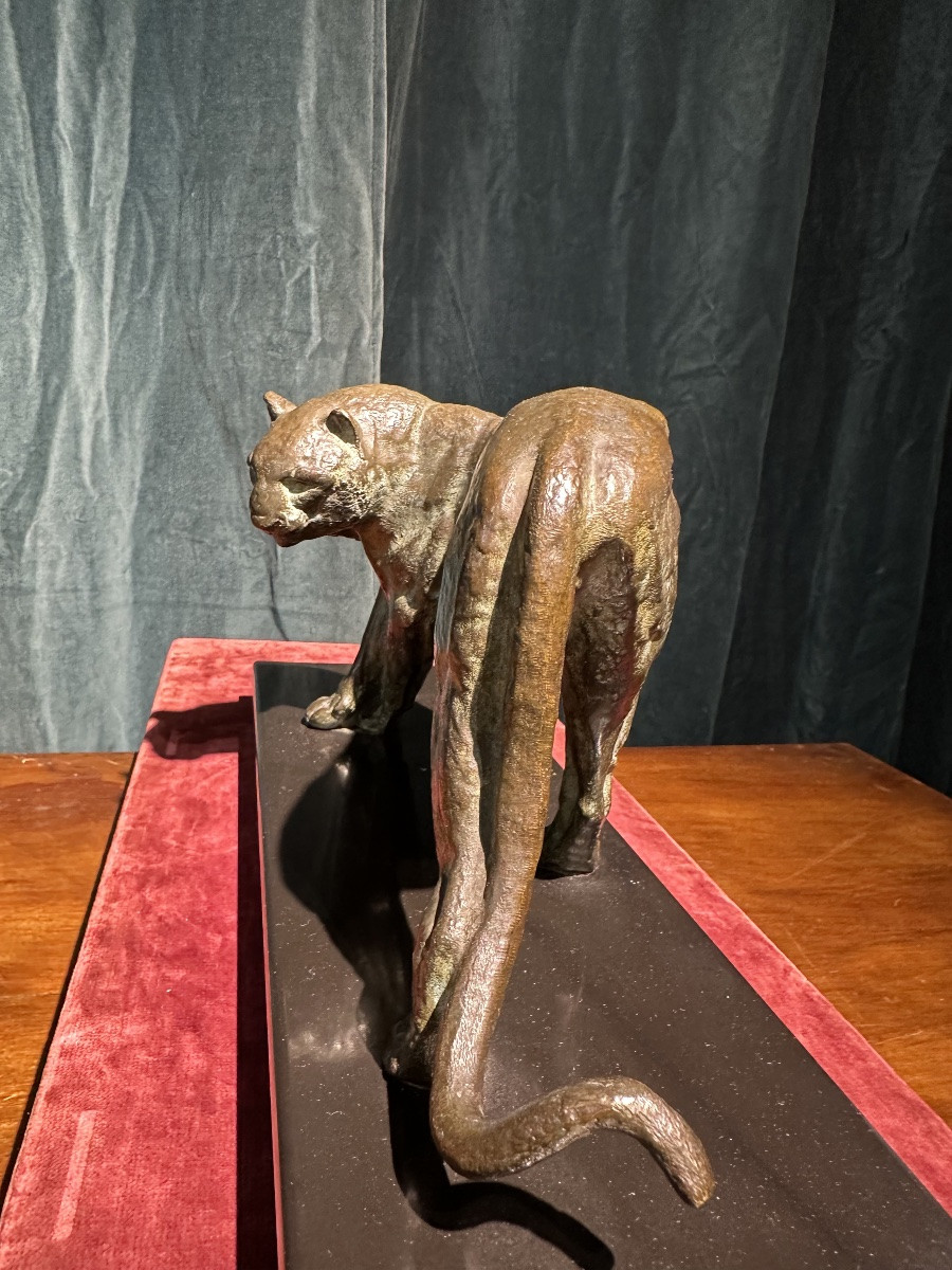 I ROCHARD PANTHÈRE -photo-1