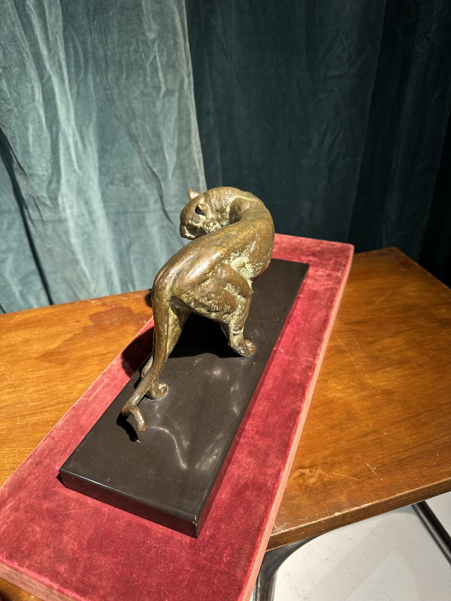 I ROCHARD PANTHÈRE -photo-2