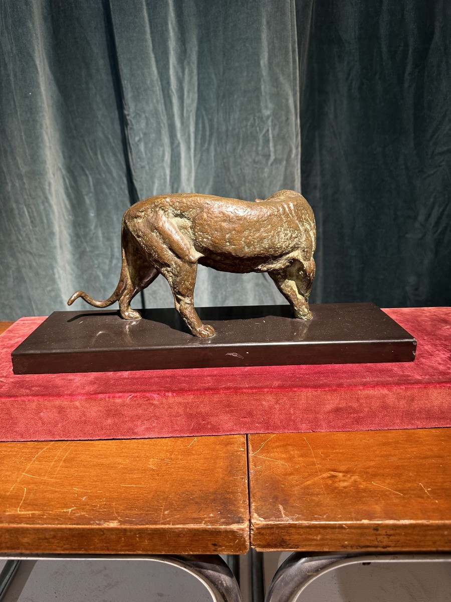 I ROCHARD PANTHÈRE -photo-3