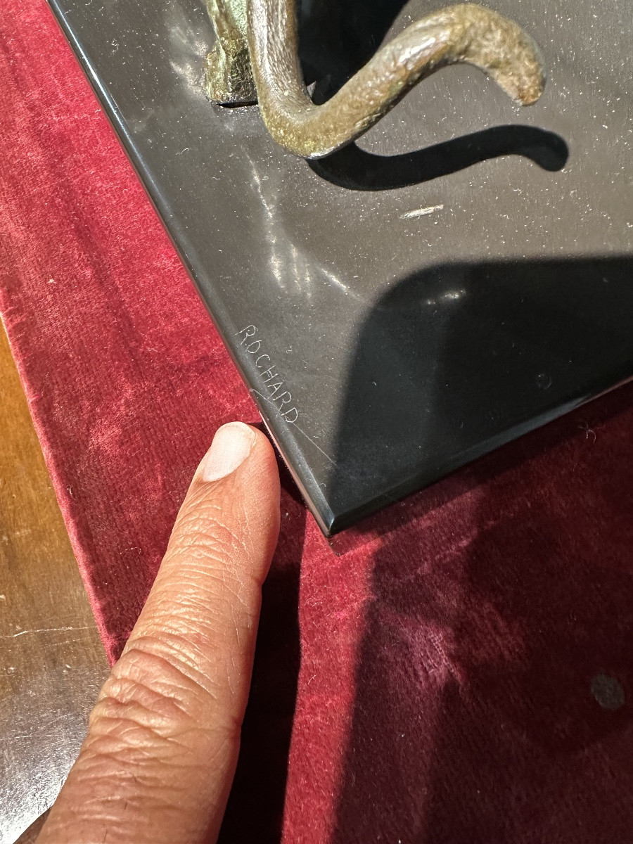 I ROCHARD PANTHÈRE -photo-5